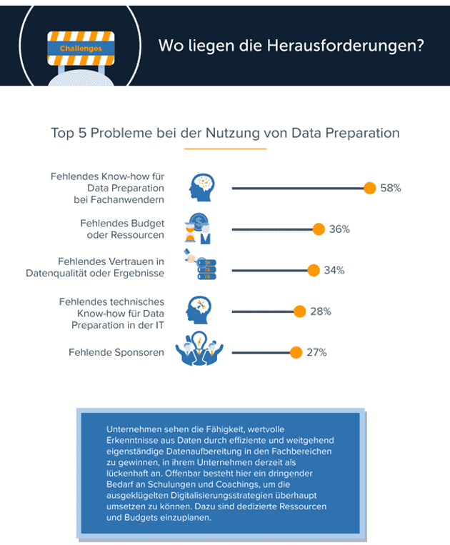 Infografik: Data Preparation im Fachbereich in der DACH-Region