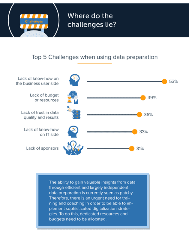 Infografik: Data Preparation im Fachbereich (Weltweite Studie)