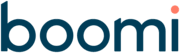 Boomi Logo